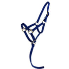 Norton Licol pour Poulain avec Longe Bleu Royal
