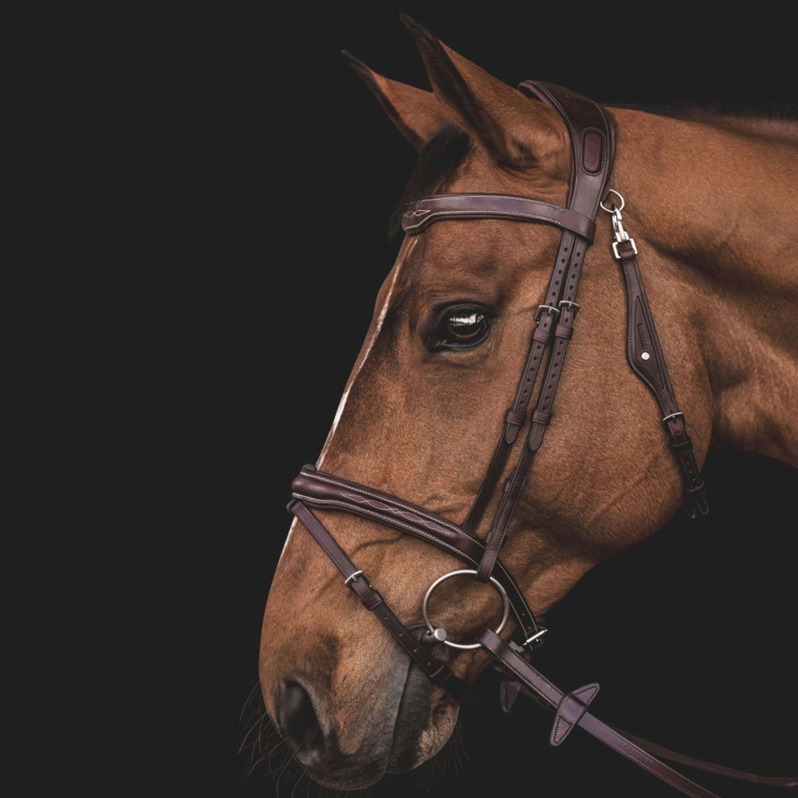 Equiline Bride JP Anatomique Light Marron Equiline Bride JP Anatomique Light Marron