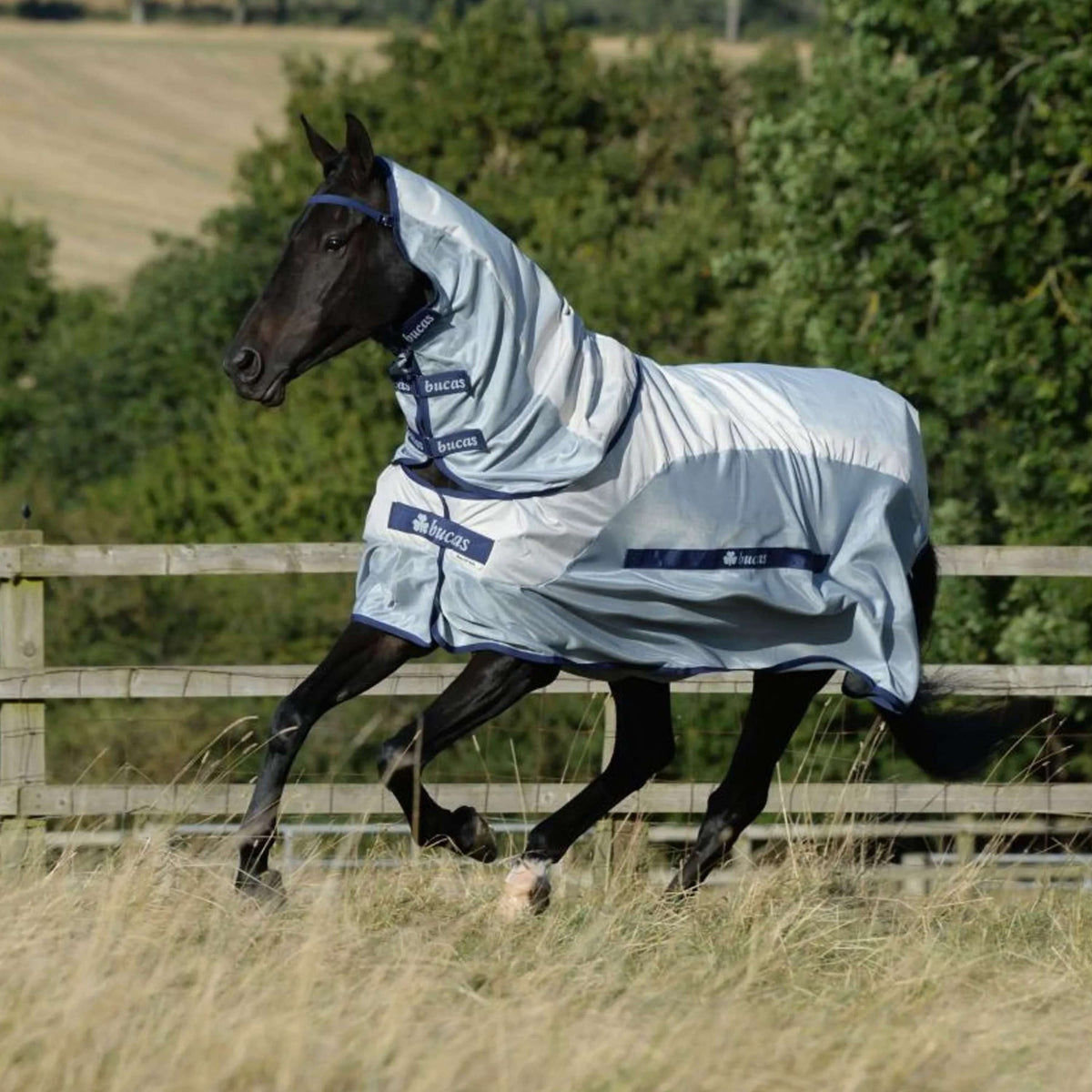 Bucas Buzz-Off Rain & Neck 0g Argent/Bleu