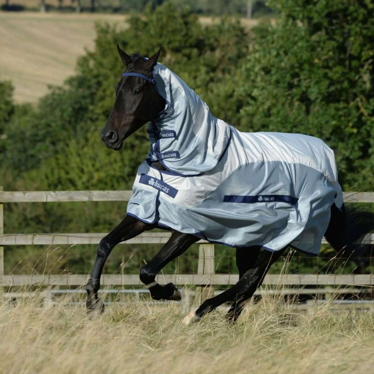 Bucas Buzz-Off Rain & Neck 0g Argent/Bleu