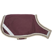 Amigo Tapis pour Chien Ripstop Fig/Navy/Tan