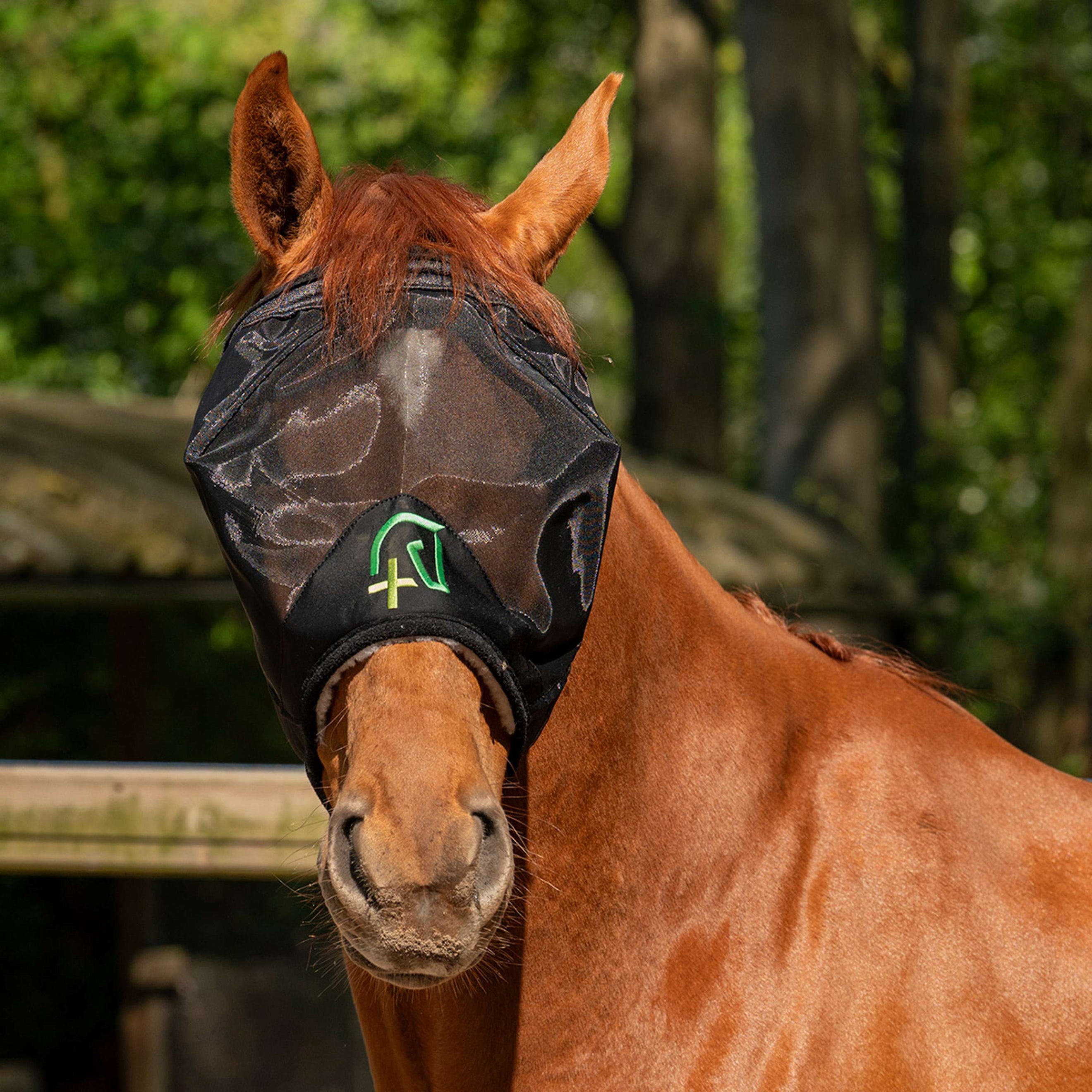 Agradi Horse Masque Anti-Mouches Fine Mesh sans Oreilles Noir Agradi Horse Masque Anti-Mouches Fine Mesh sans Oreilles Noir