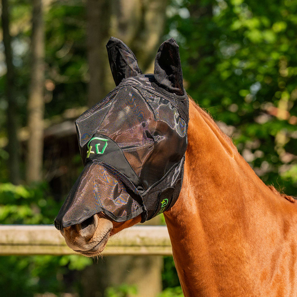 Agradi Horse Masque Anti-Mouches Fine Mesh avec Oreilles et Nez Noir