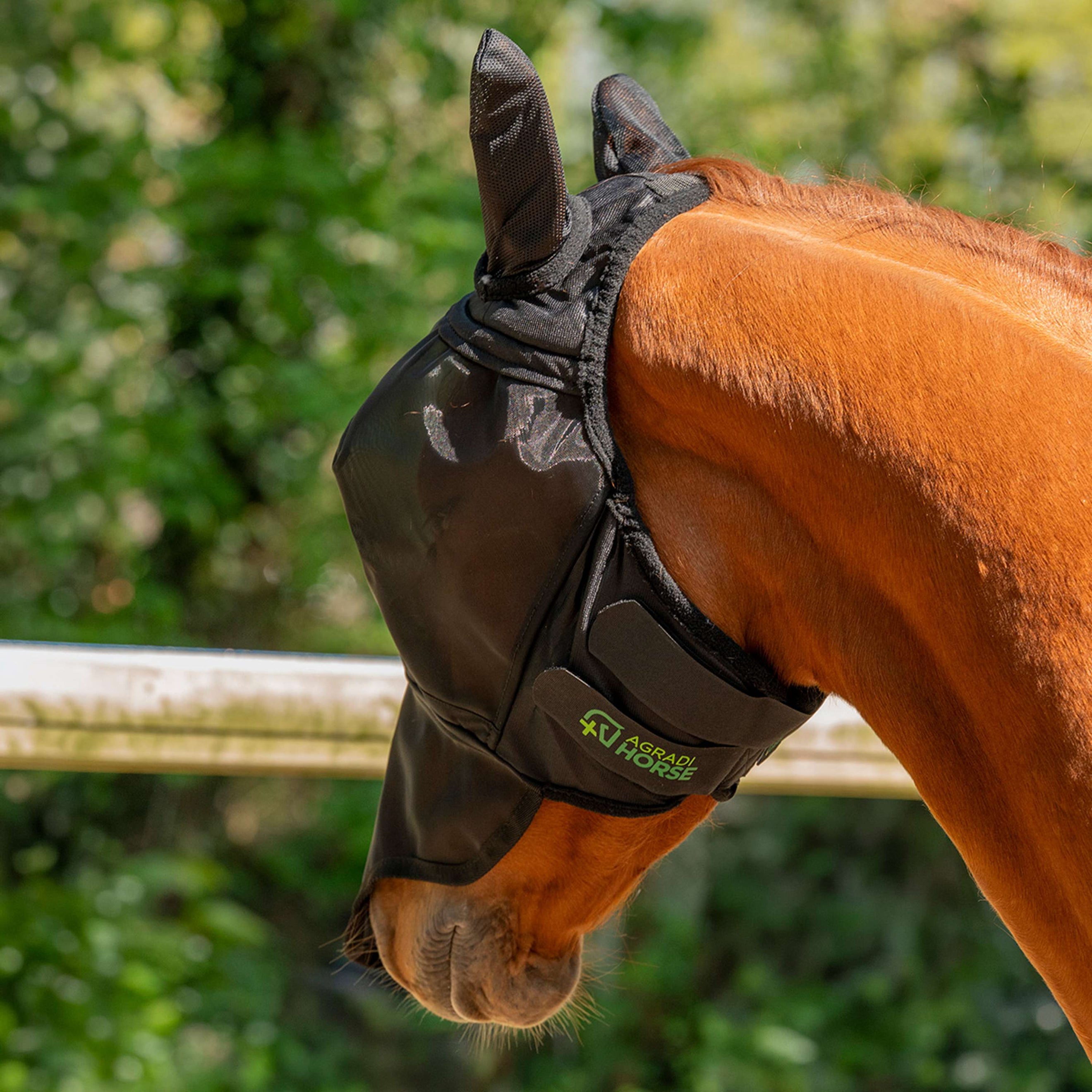 Agradi Horse Masque Anti-Mouches Fine Mesh avec Oreilles et Nez Noir Agradi Horse Masque Anti-Mouches Fine Mesh avec Oreilles et Nez Noir