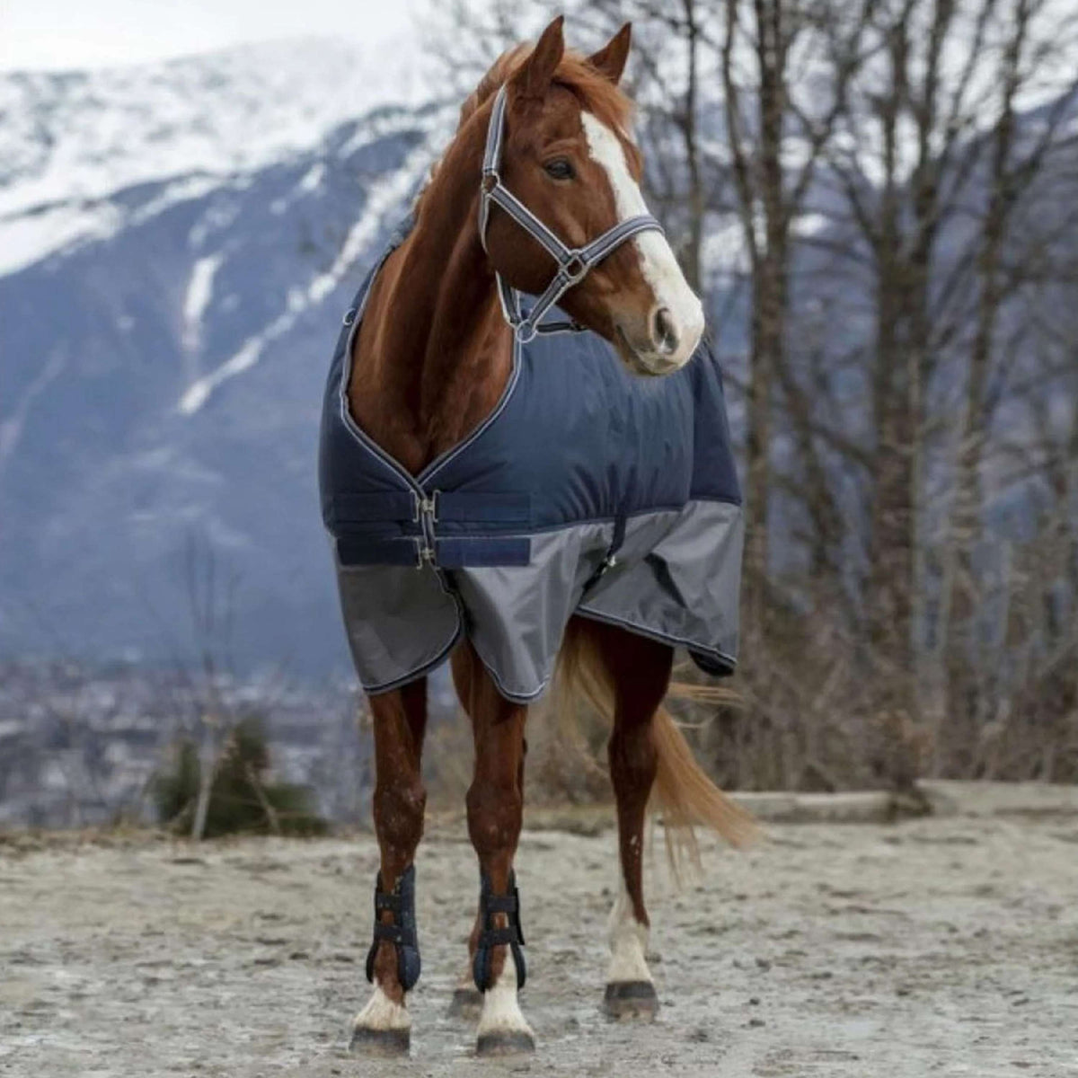 EQUITHÈME Couverture Imperméable Tyrex 600D 50g Marine/Gris Dots