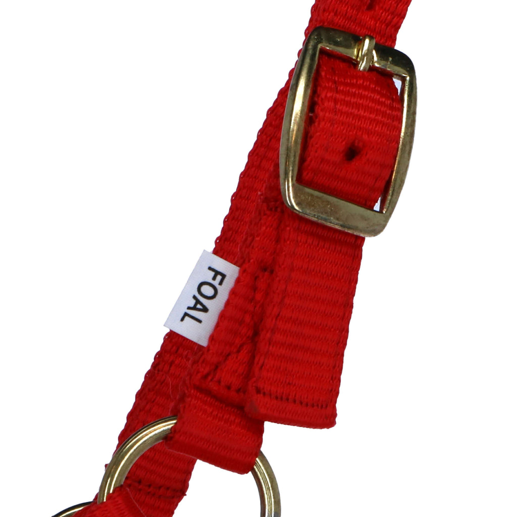 Norton Licol pour Poulain avec Ligne Rouge