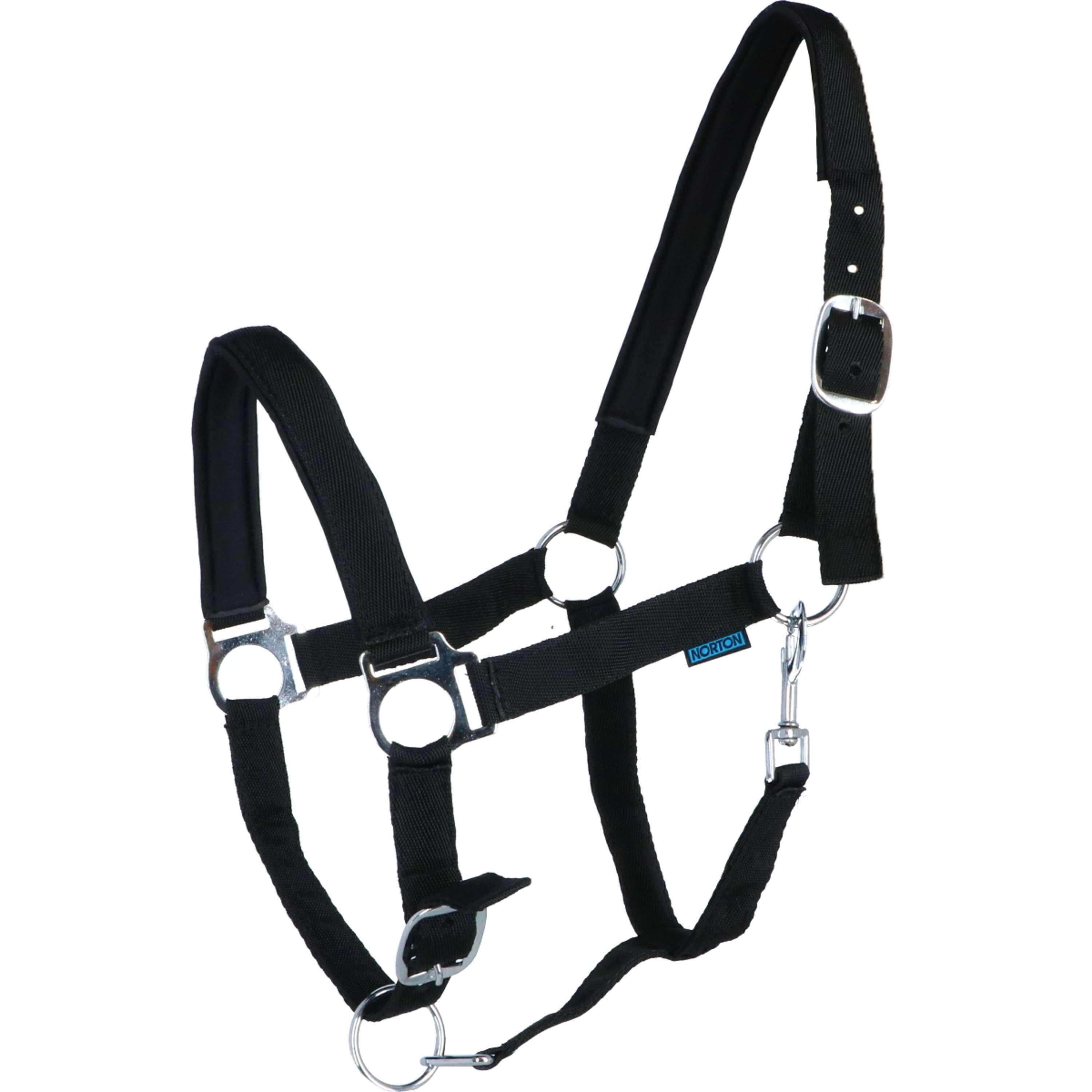 Museau de pâturage pour cheval avec support pour cheval respiration Museau de pâturage pour cheval avec support pour cheval respiration