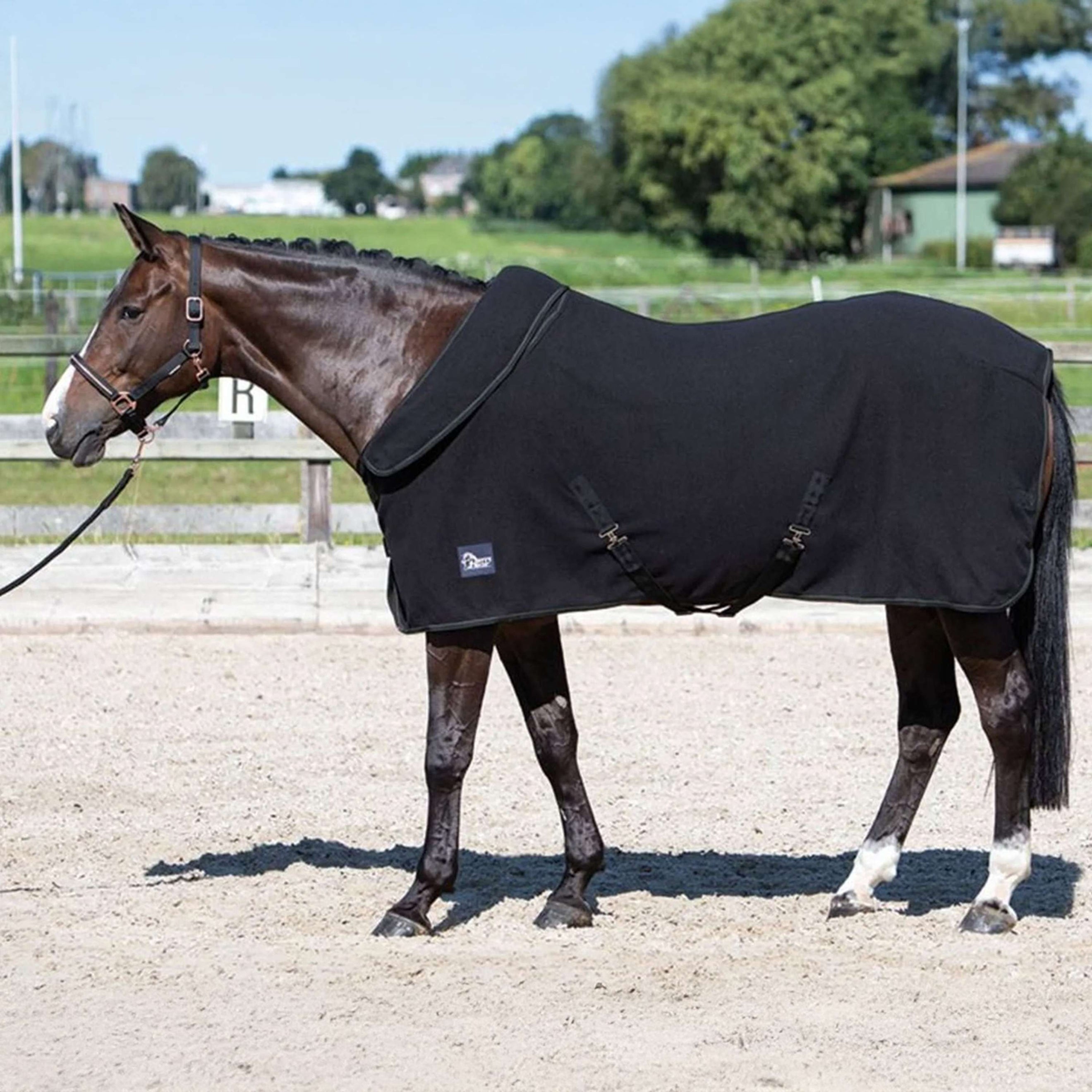Harry's Horse Couverture Polaire avec Col Enroulable Noir Harry's Horse Couverture Polaire avec Col Enroulable Noir