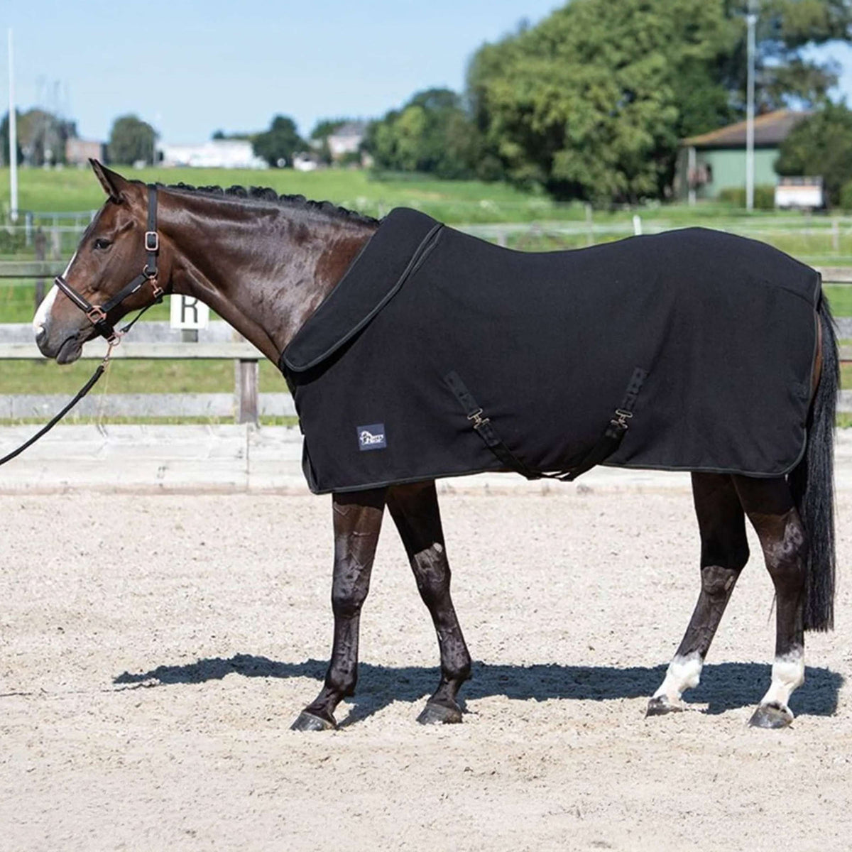 Harry's Horse Couverture Polaire avec Col Enroulable Noir