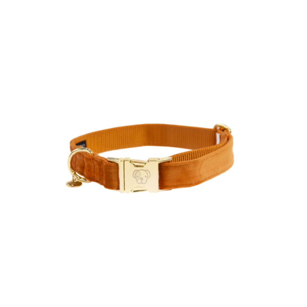 Kentucky Collier velours Orange