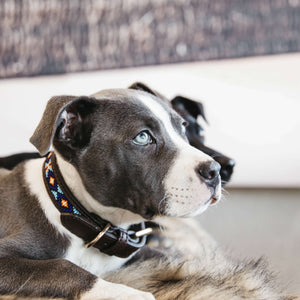 Kentucky Collier Perles Artisanales Bleu