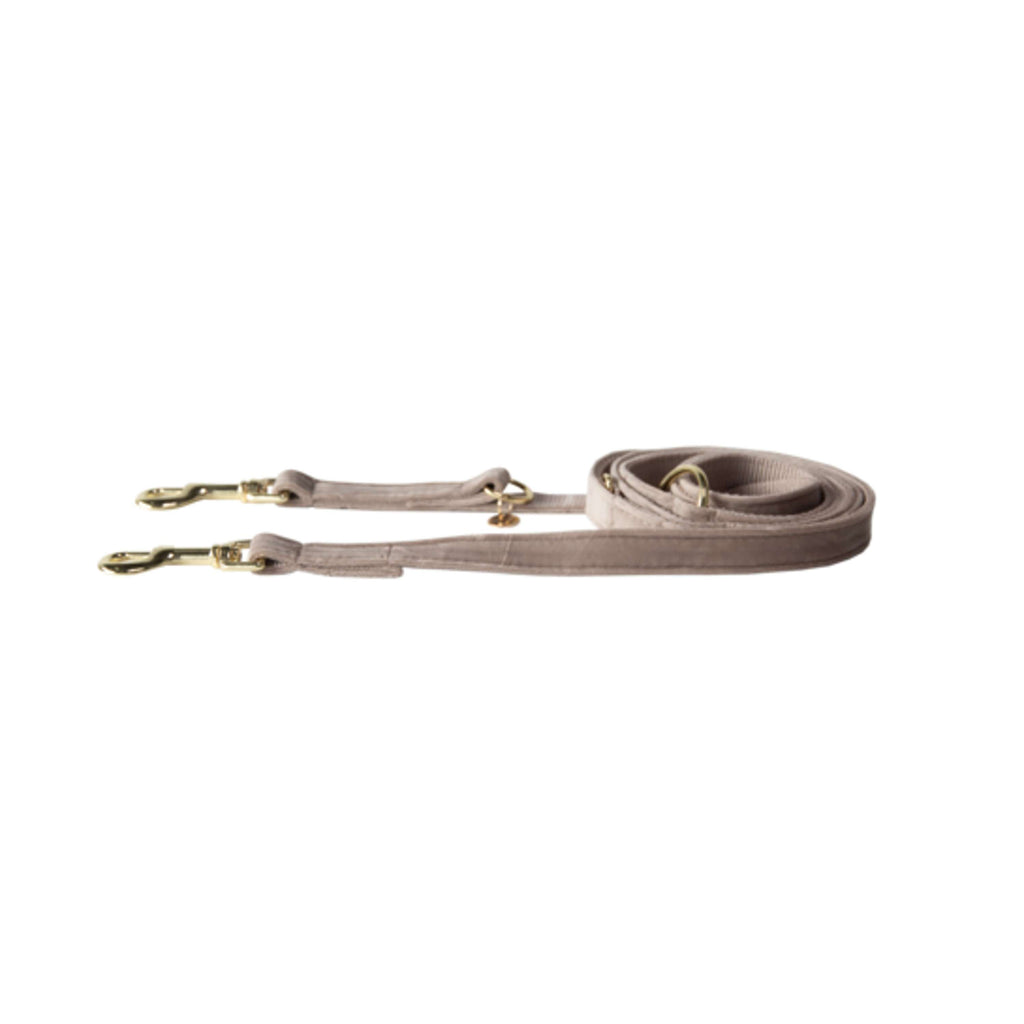 Kentucky Laisse pour Chien velours Beige