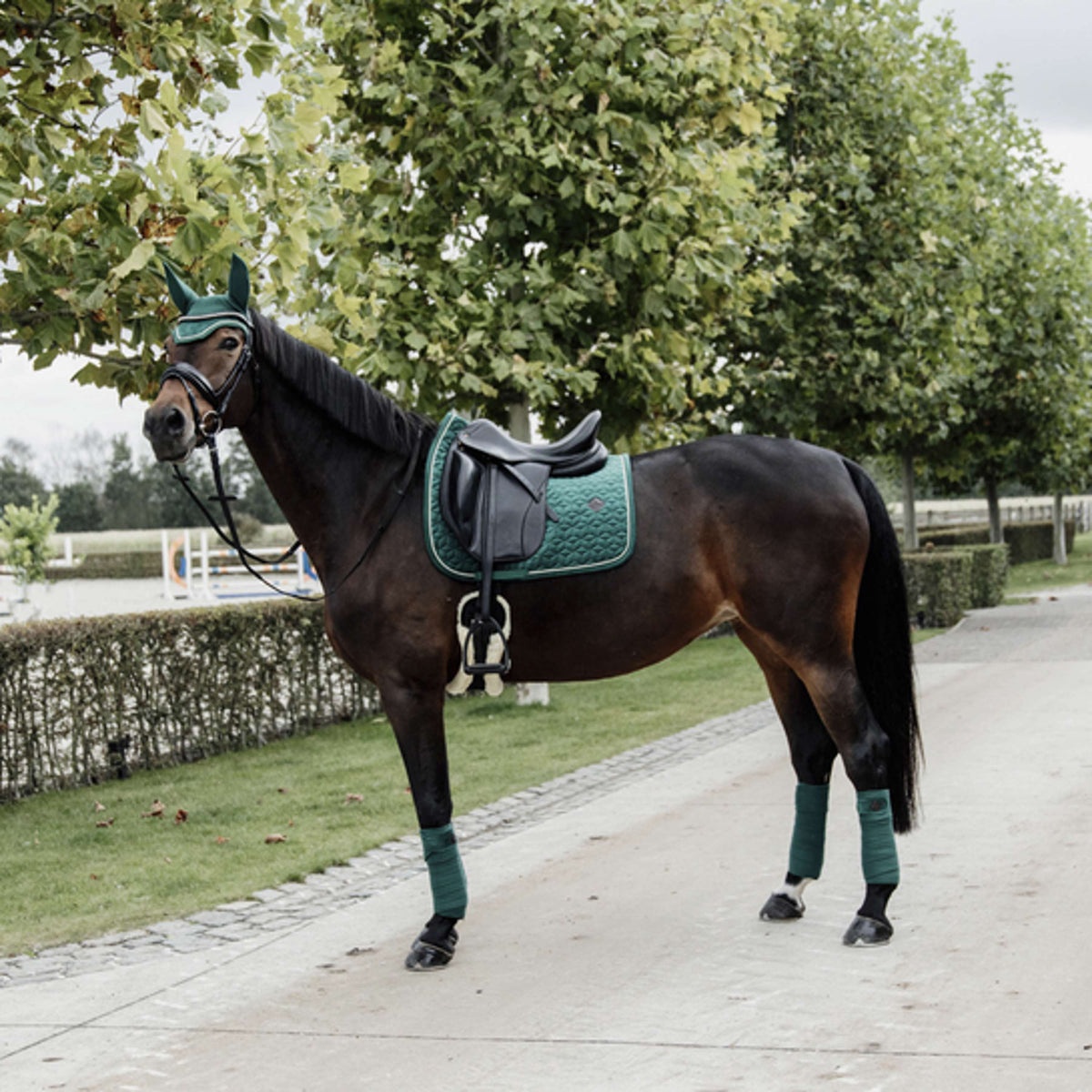 Kentucky Tapis de Selle velours Pearls Dressage Pine Green