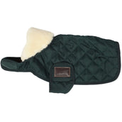 Kentucky Veste pour Chien Original Royal Vert Foncé