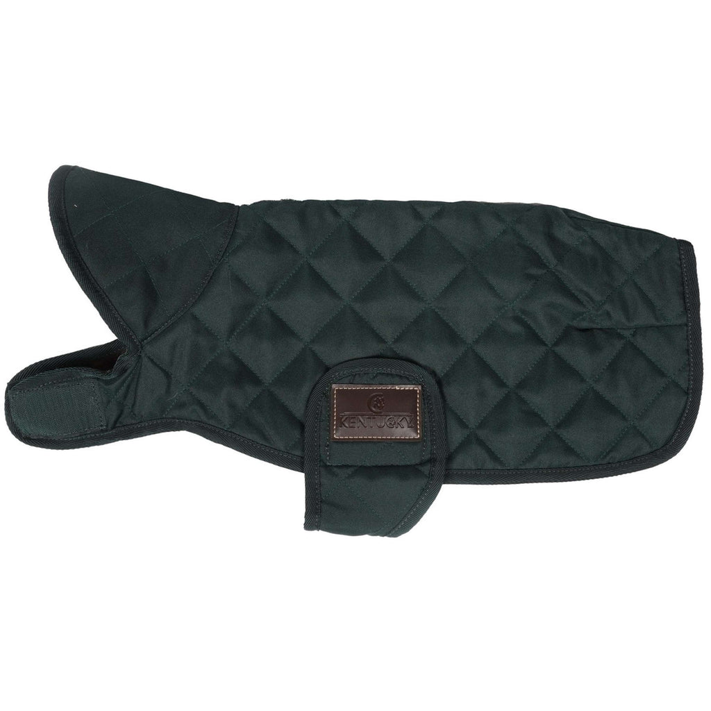 Kentucky Veste pour Chien Original Royal Vert Foncé