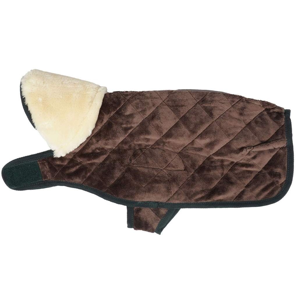 Kentucky Veste pour Chien Original Royal Vert Foncé