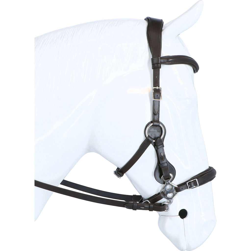 F.R.A. Hackamore Calli Stuk Hook Rênes en Cuir Havane
