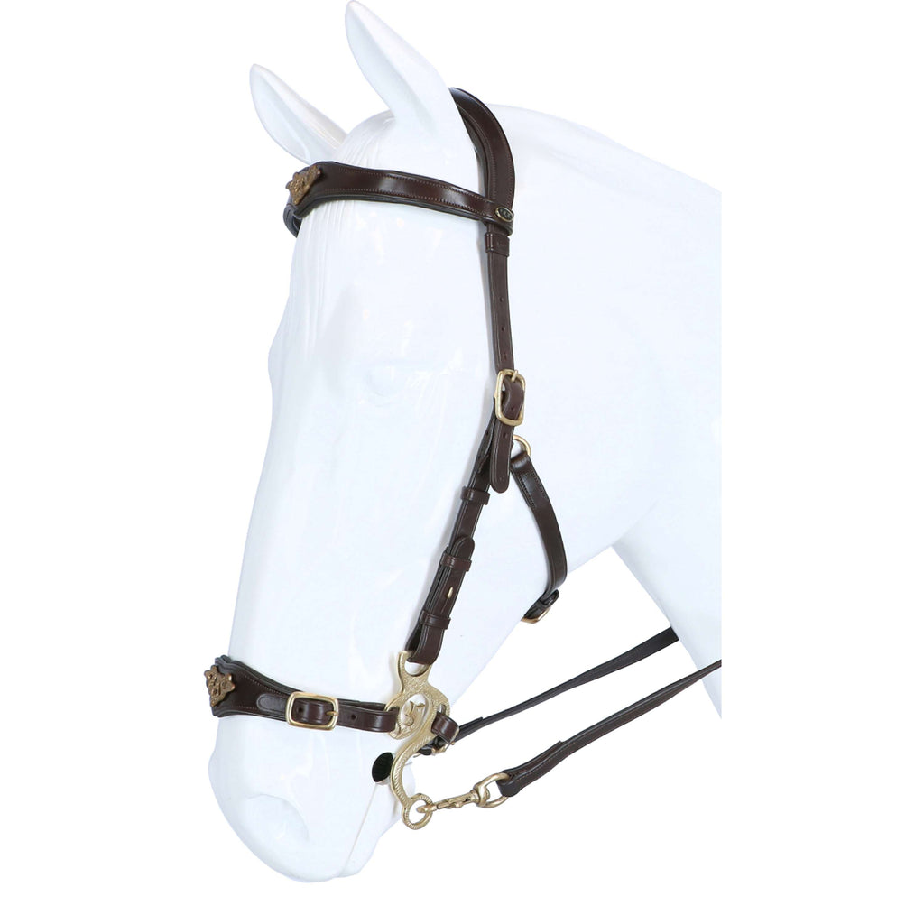 F.R.A. Hackamore Imperial Rênes en Cuir Souple Havane