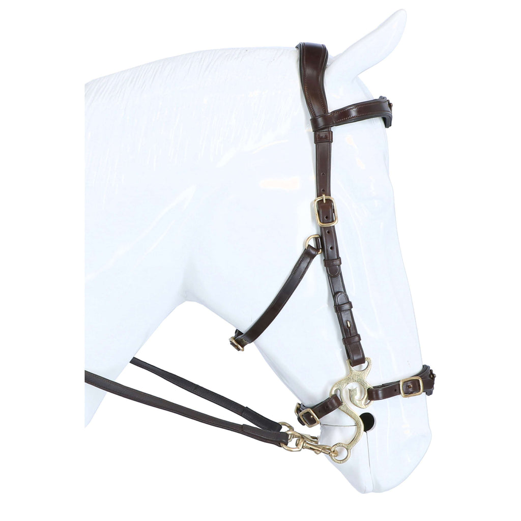 F.R.A. Hackamore Imperial Rênes en Cuir Souple Havane