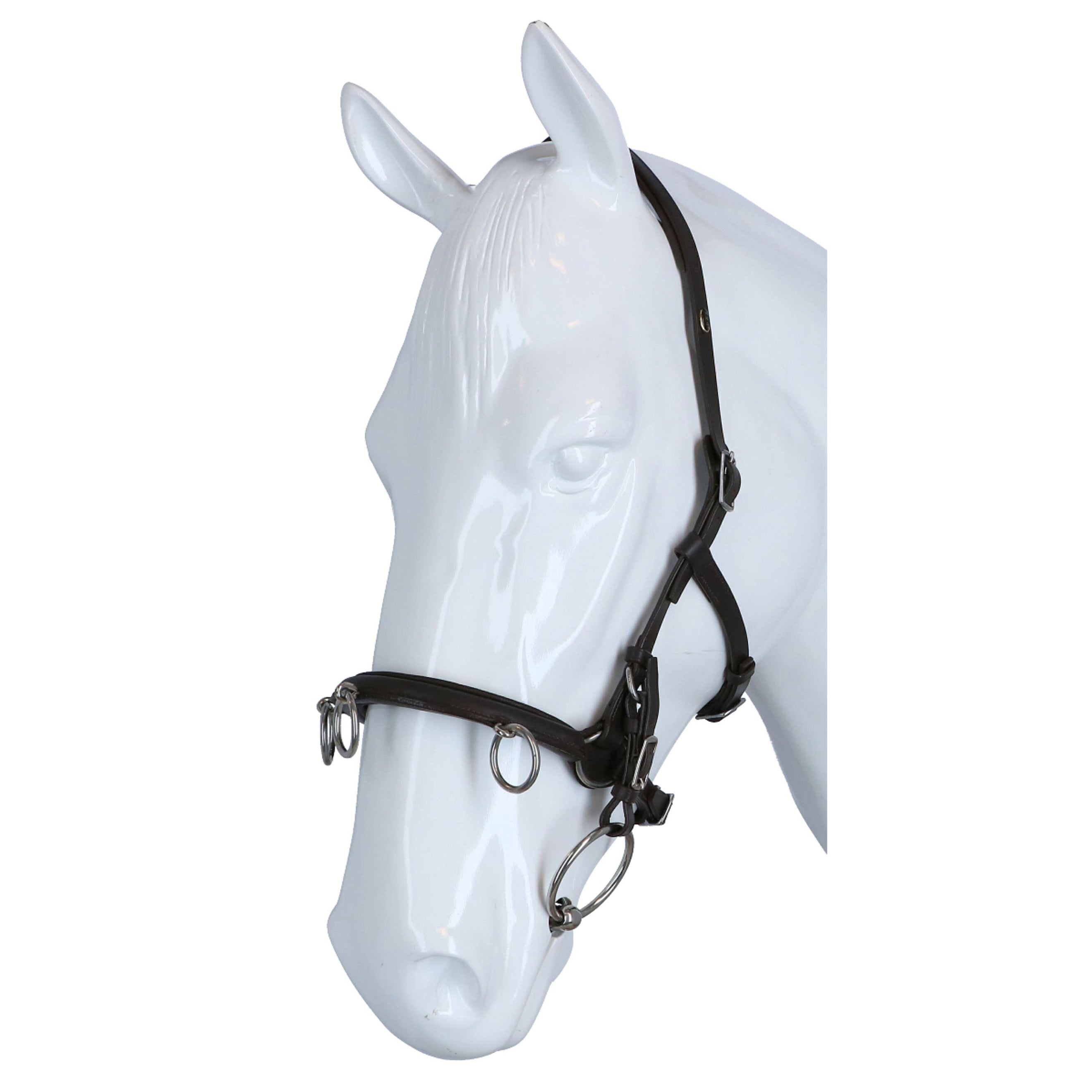 F.R.A. Caveçon Keto Cuir Marron F.R.A. Caveçon Keto Cuir Marron