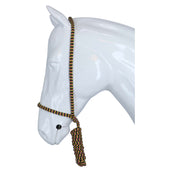 F.R.A. Licol Shiraz avec Longe Fixe Jaune/Noire