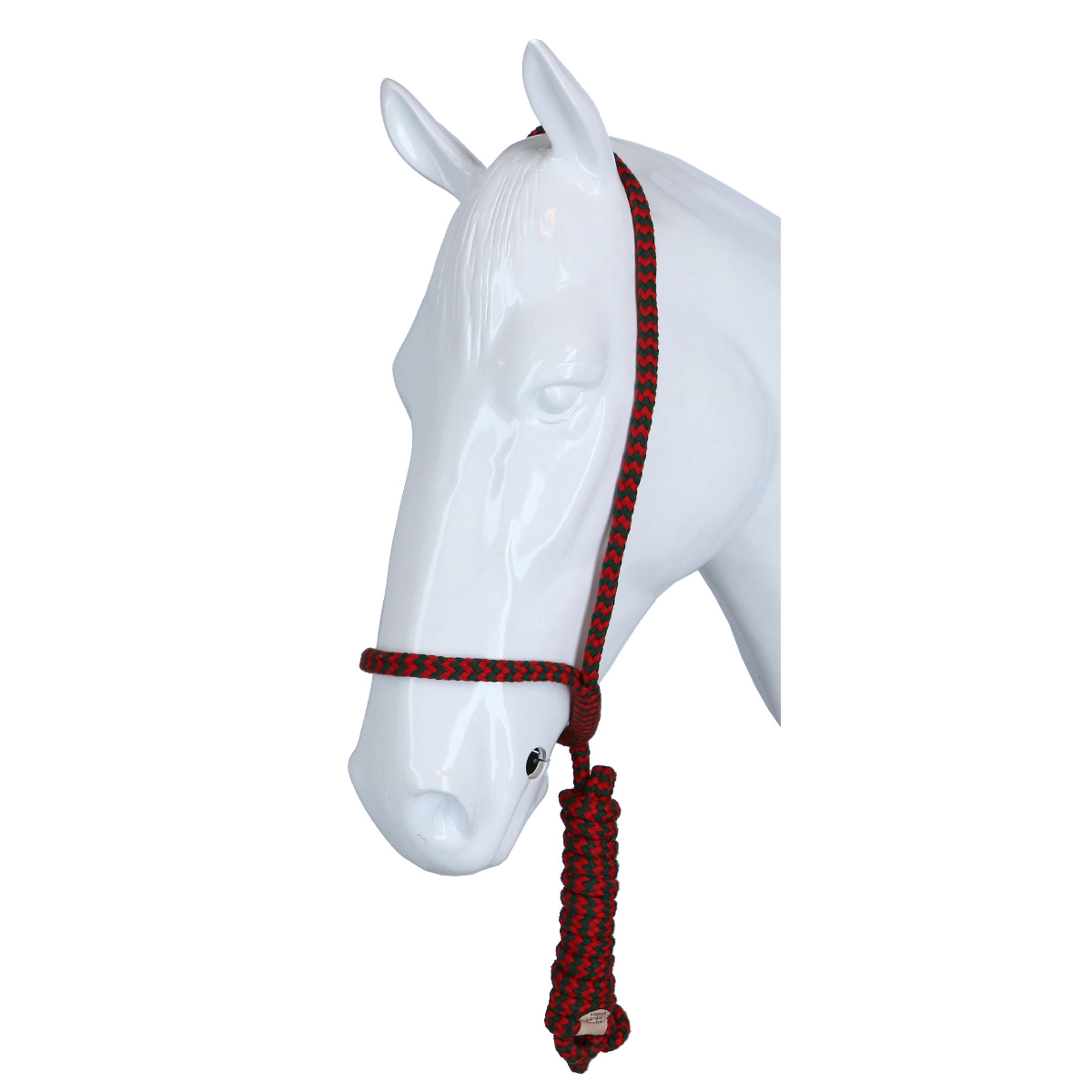 F.R.A. Licol Shiraz avec Longe Fixe Vert/Rouge F.R.A. Licol Shiraz avec Longe Fixe Vert/Rouge