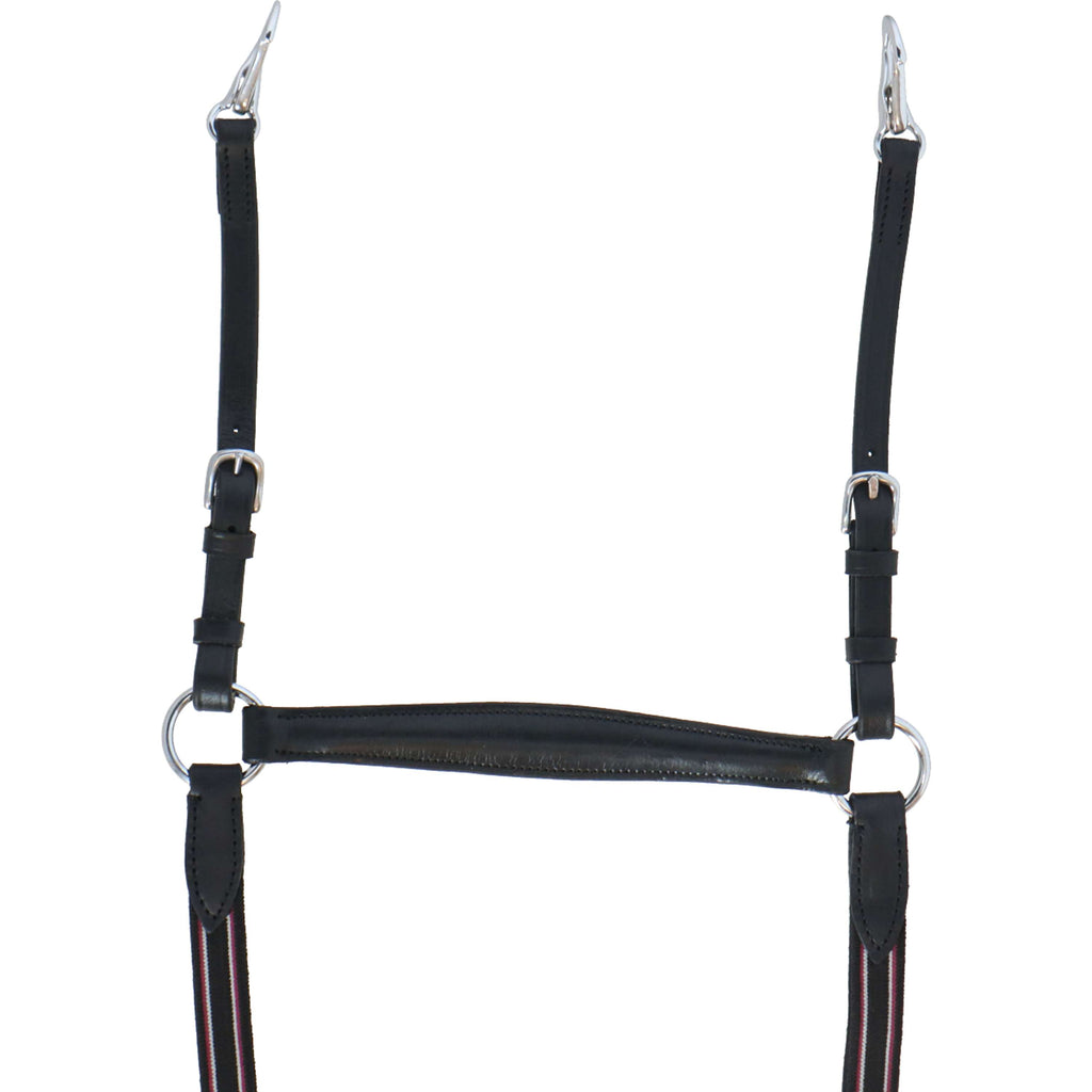 HB Collier de Chasse Leer Noir