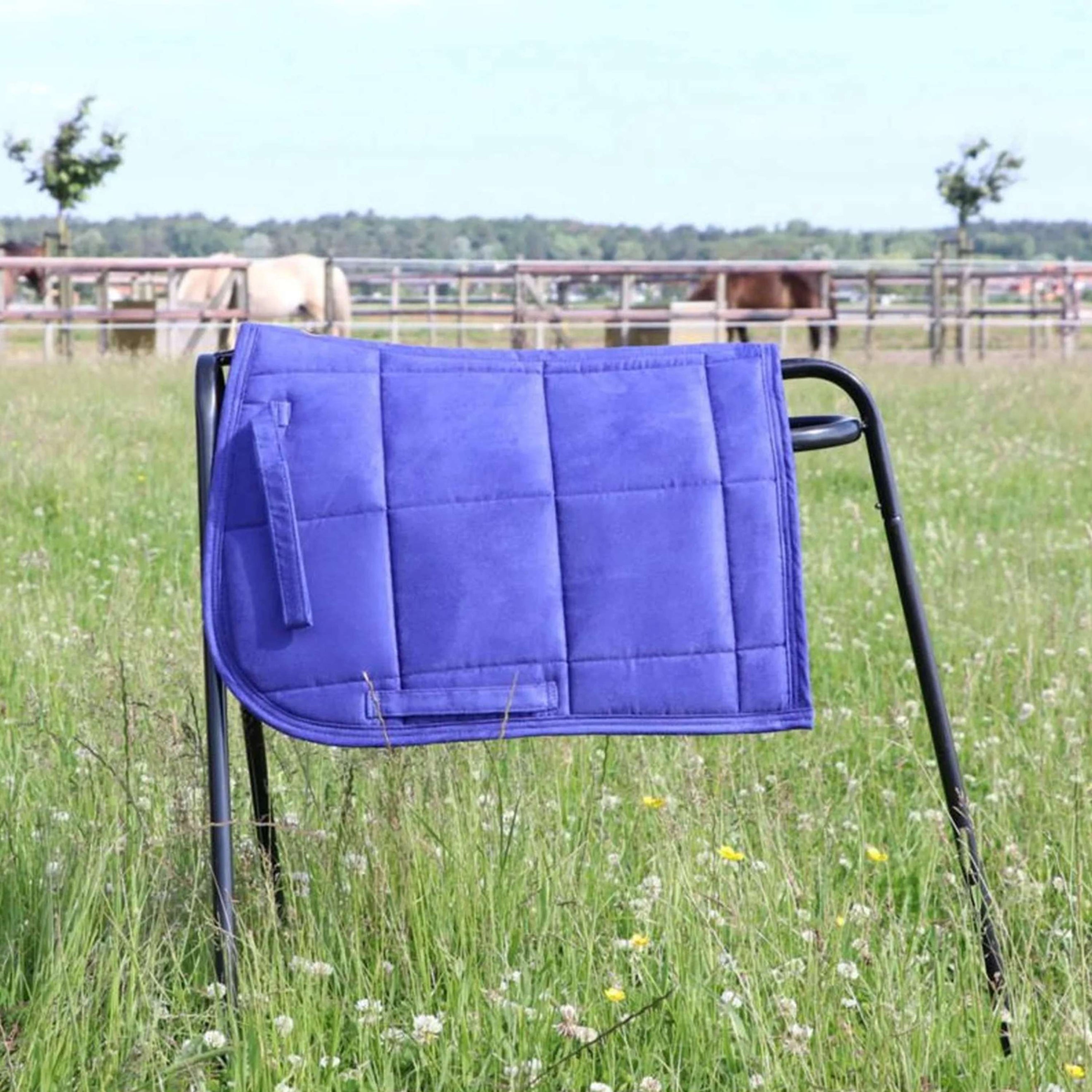 HB Tapis de Selle Shetland Bleu Royal HB Tapis de Selle Shetland Bleu Royal