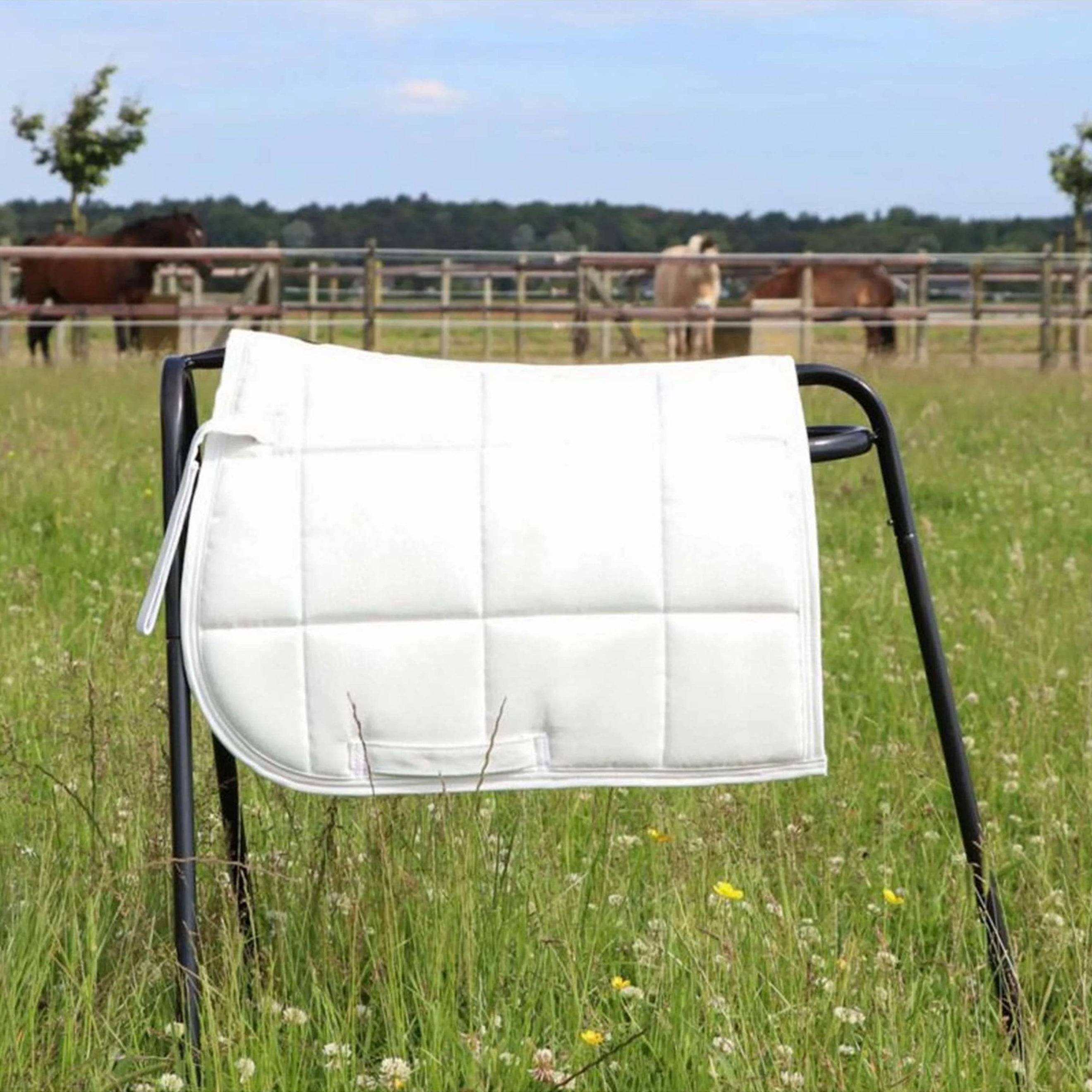 HB Tapis de Selle Shetland Blanc HB Tapis de Selle Shetland Blanc