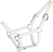 HB Licol pour Poulain Cuir Blanc