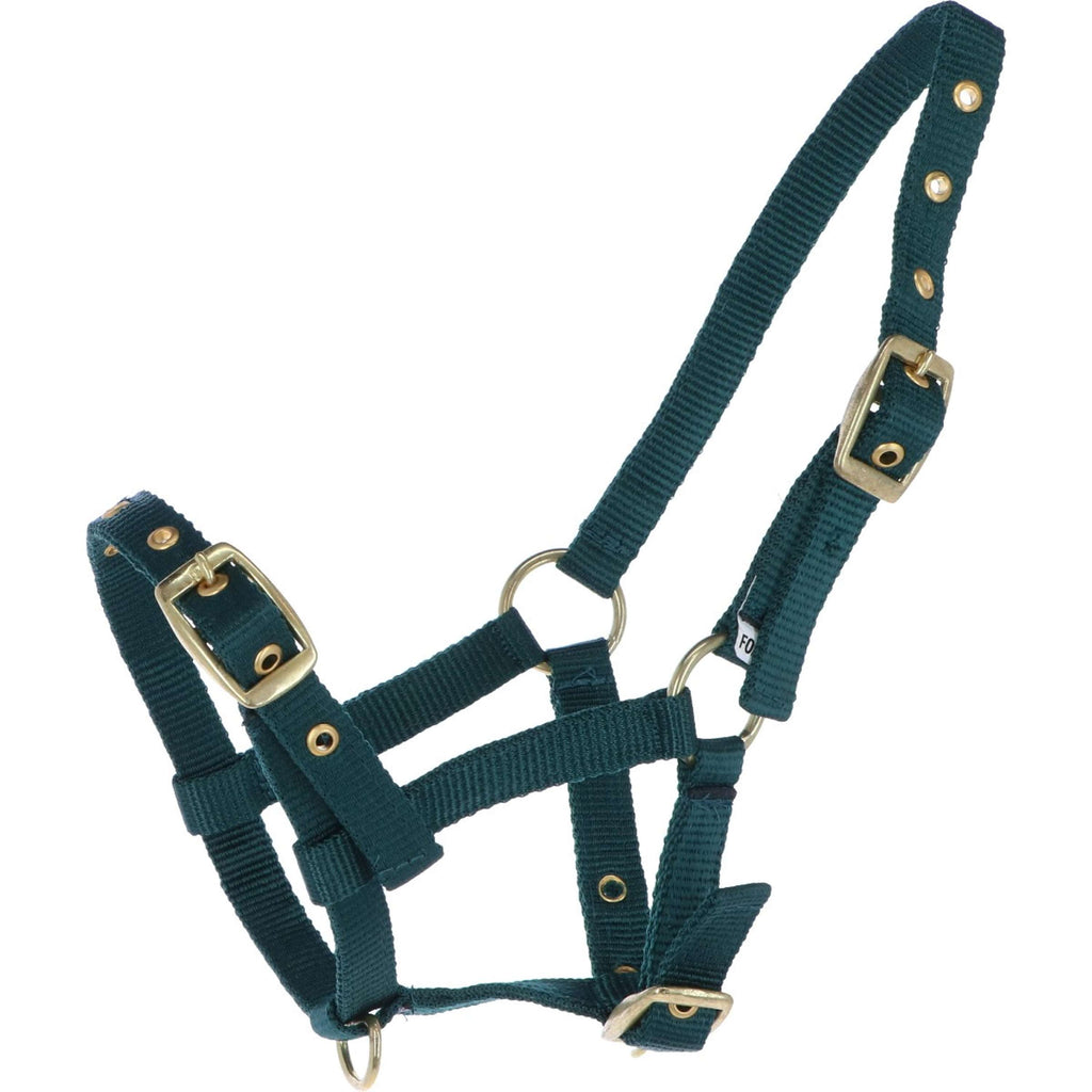 HB Licol pour Poulain Nylon Vert