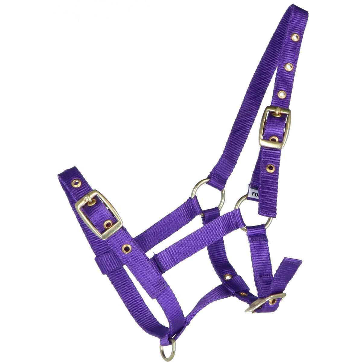 HB Licol pour Poulain Nylon Violet