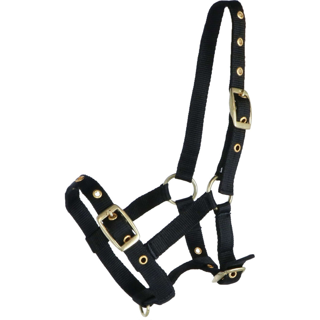 HB Licol pour Poulain Nylon Noir