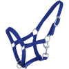 HB Licol pour Poulain Astrid Bleu Royal