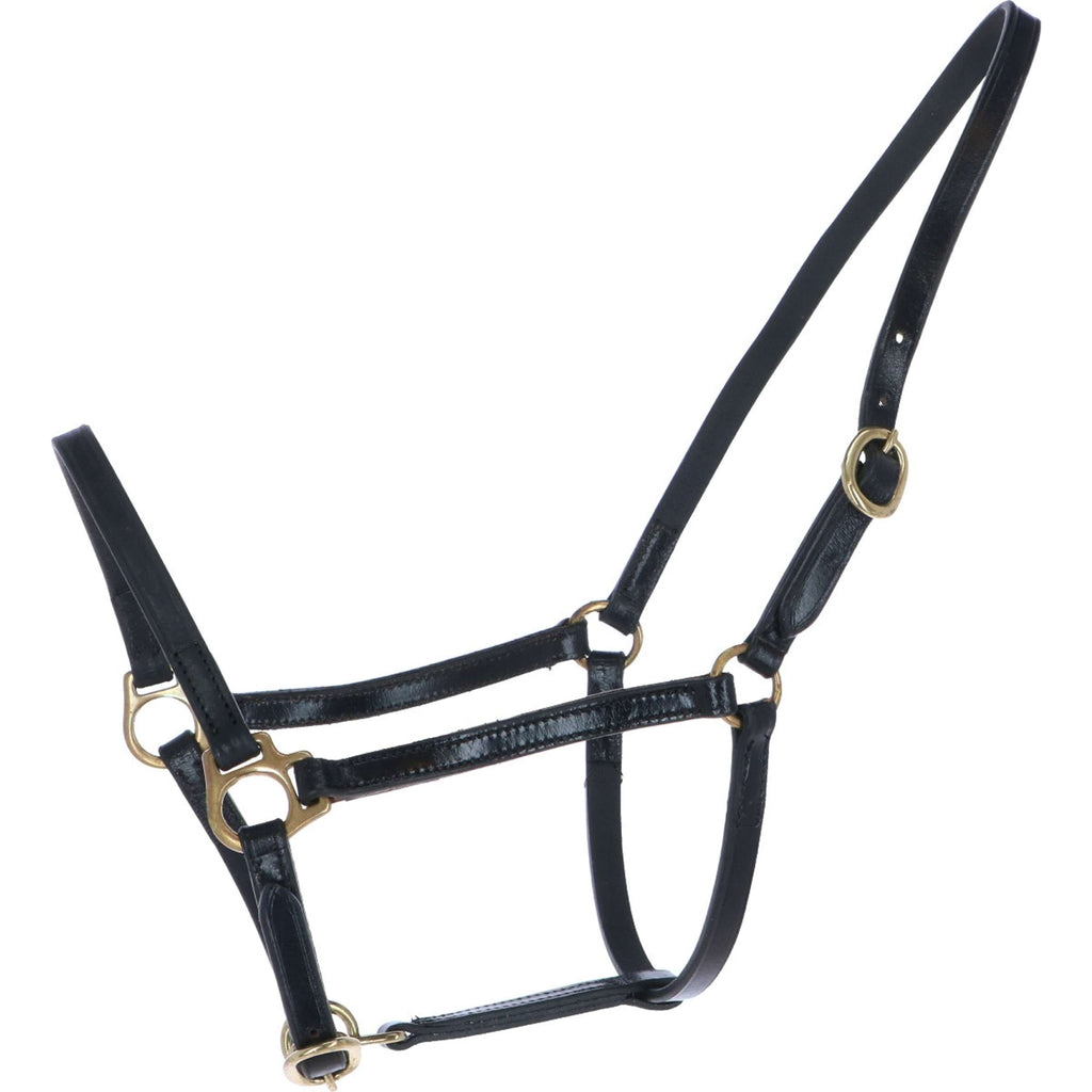 HB Licol Big Foal Cuir Noir