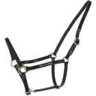 HB Licol Big Foal Cuir Noir
