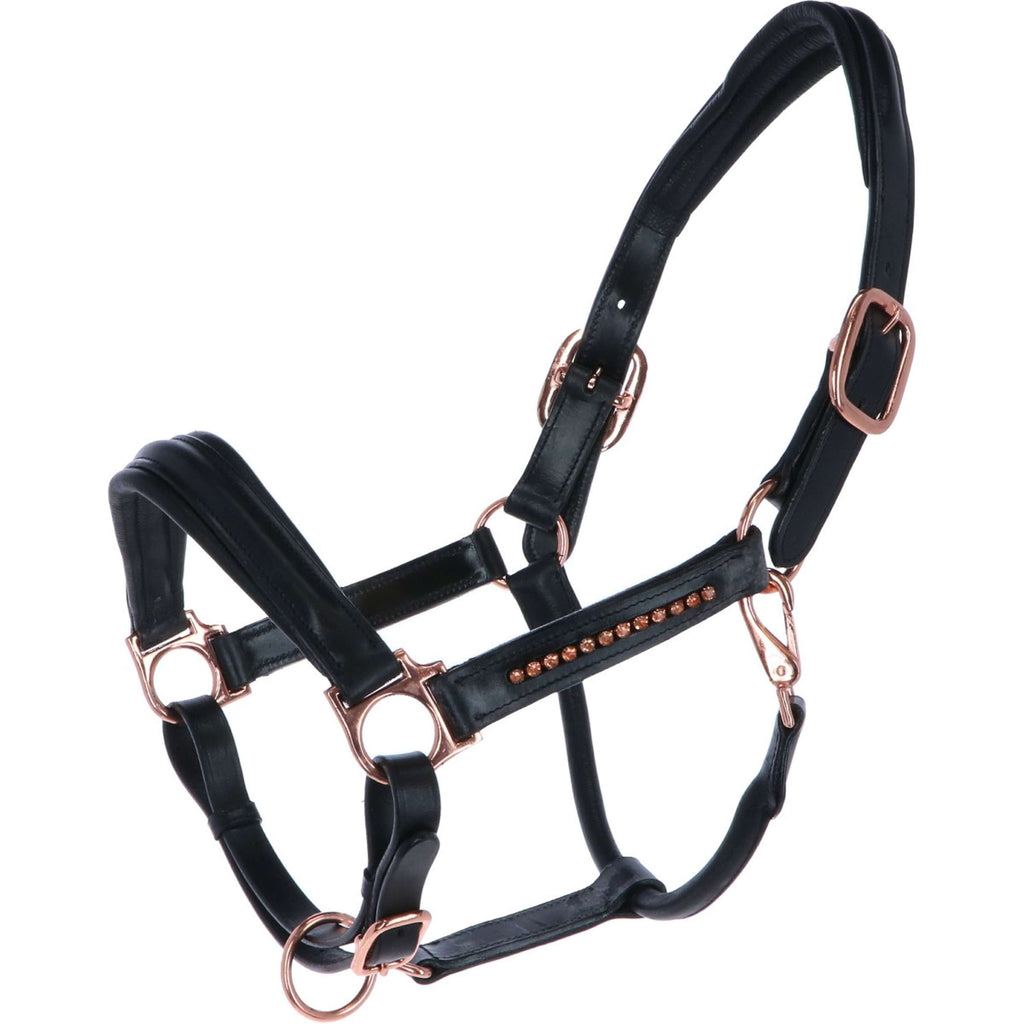 HB Licol Rose Gold Cuir Noir