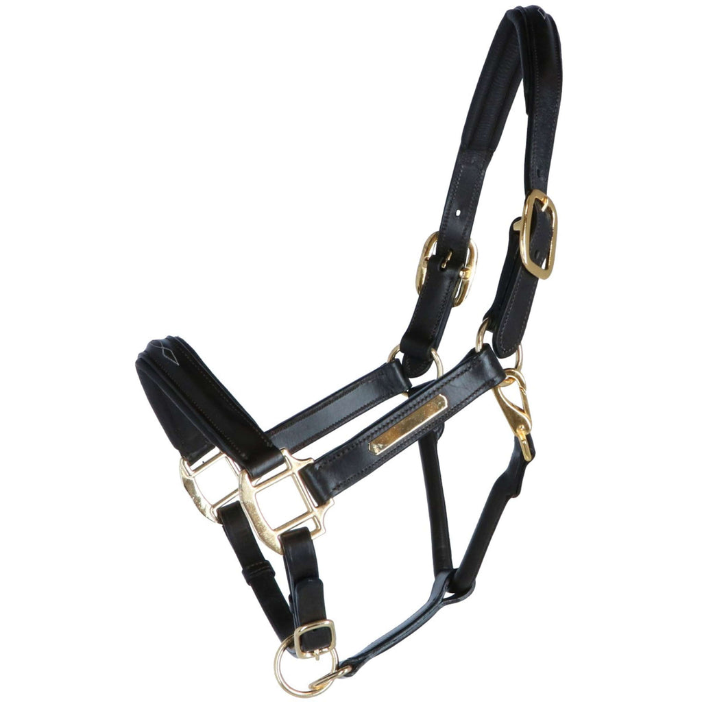 HB Licol Horse Name Cuir Marron