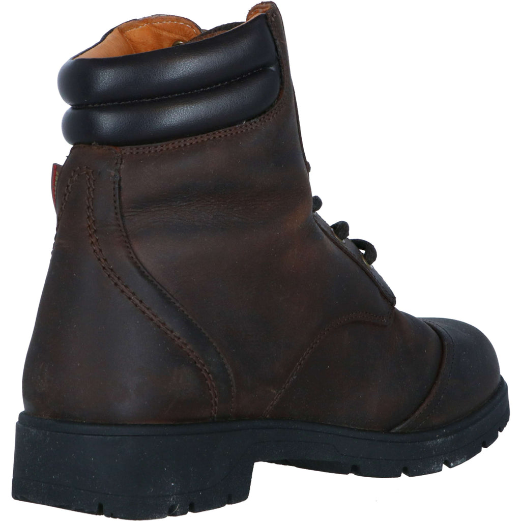 Mountain Horse Chaussures d'Écurie Wild River Lace Paddock Marron