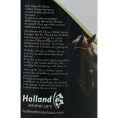 Excellent Spray Scintillant Hi Gloss Or