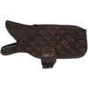 Kentucky Veste pour Chien Original Royal Marron