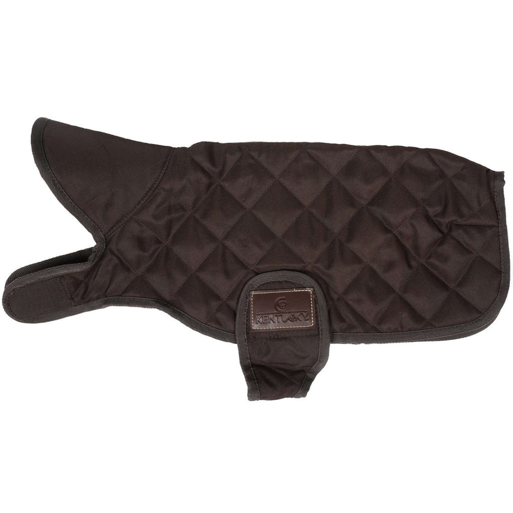 Kentucky Veste pour Chien Original Royal Marron