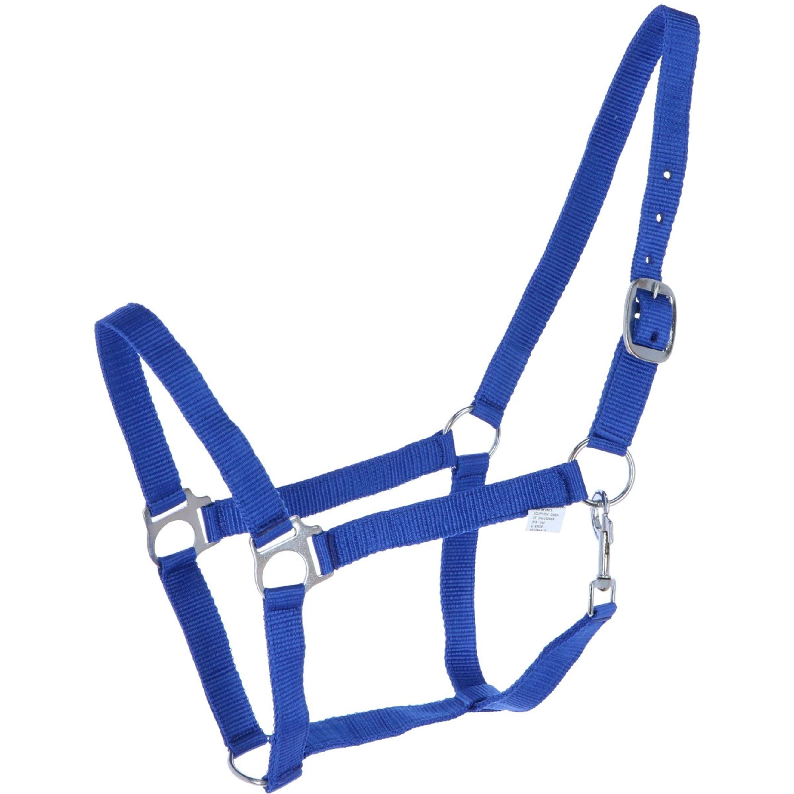 HKM Licol Brisbane Bleu Royal HKM Licol Brisbane Bleu Royal