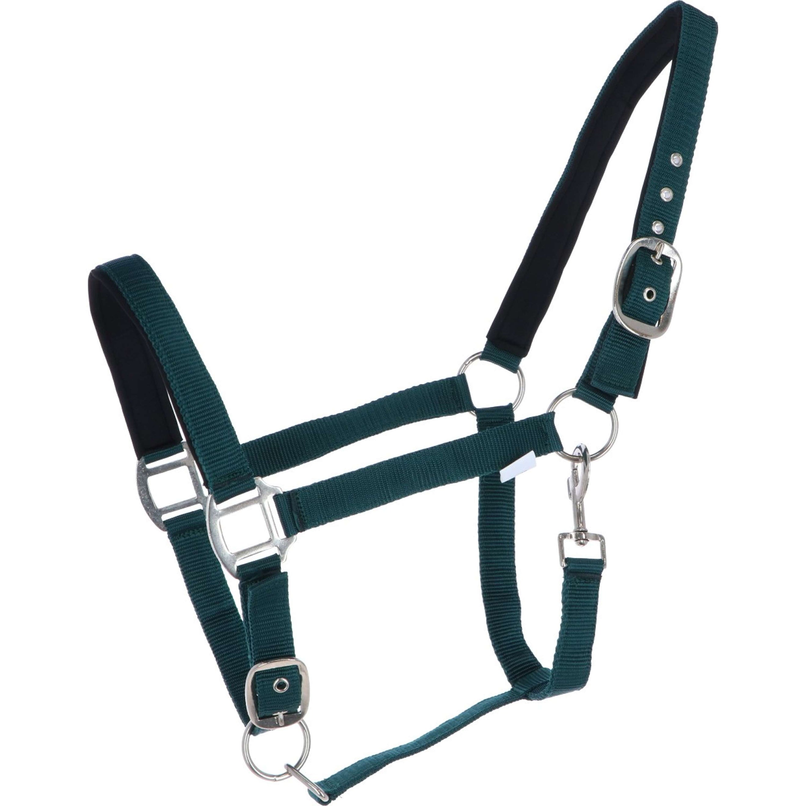 HKM Licol Charming Souple Rembourrage Hunting Green HKM Licol Charming Souple Rembourrage Hunting Green