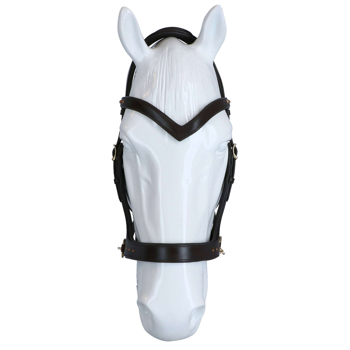 Thor Equine Bride Side-Pull Cuir Marron Foncé – Muserolle Ronde, Réglable, Qualité Équitation Premium