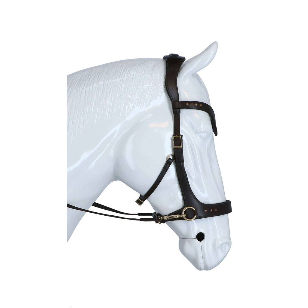 F.R.A. Bride Glory Side-Pull Cuir avec Perles Marron