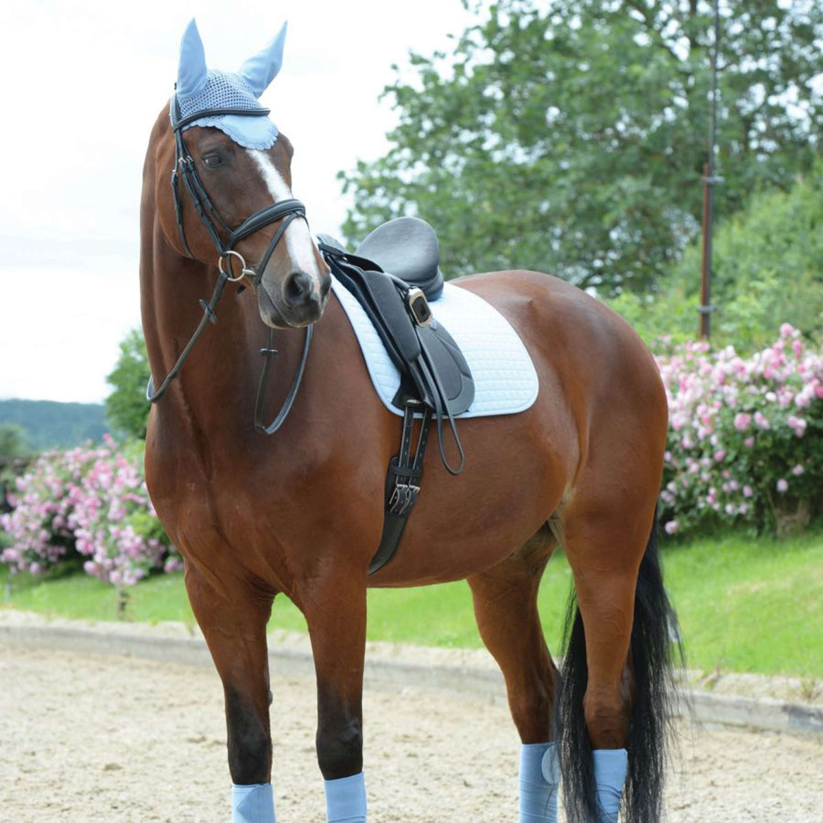 Weatherbeeta Tapis de Selle Prime Dressage Ice Blue