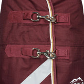 Highlander Plus Couverture d'Hiver Turnout 100g Maroon Red