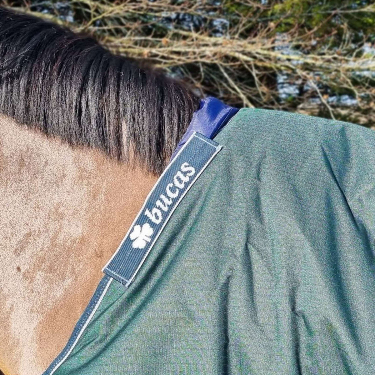 Bucas Protecteur de Garrot Bleu