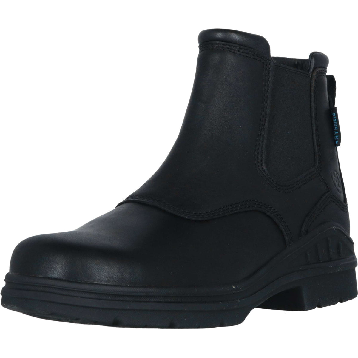 Ariat Bateau Barnyard Twin Gore II Waterproof Boot Dames Noir